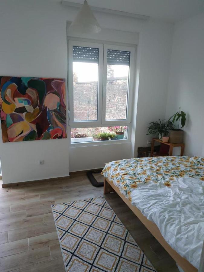 Apartment Hermes ベオグラード エクステリア 写真