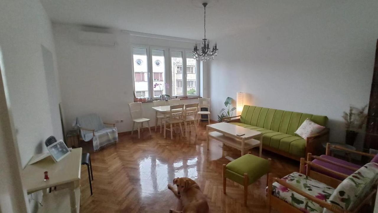 Apartment Hermes ベオグラード エクステリア 写真