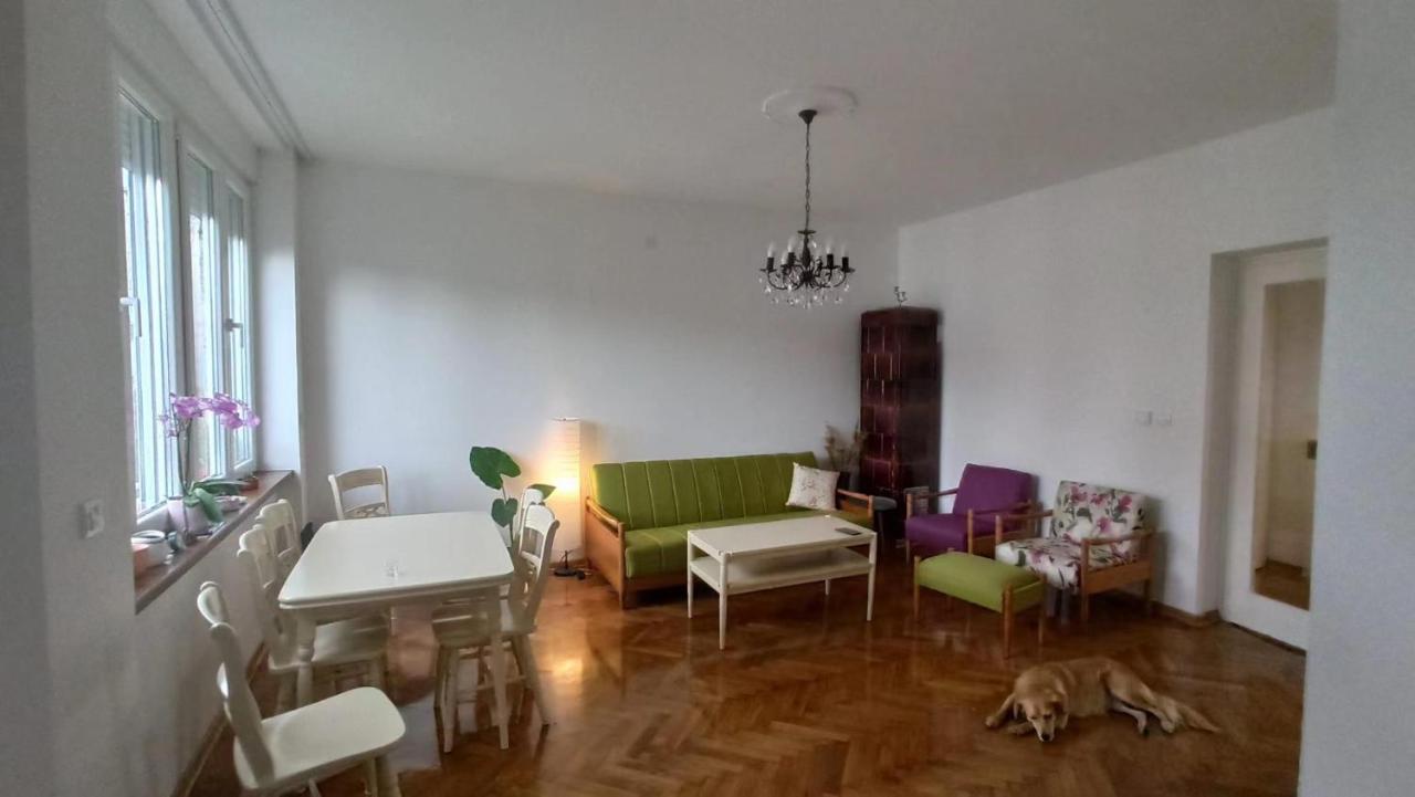 Apartment Hermes ベオグラード エクステリア 写真
